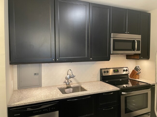 Photo - 535 N Michigan Ave Unidad 2003