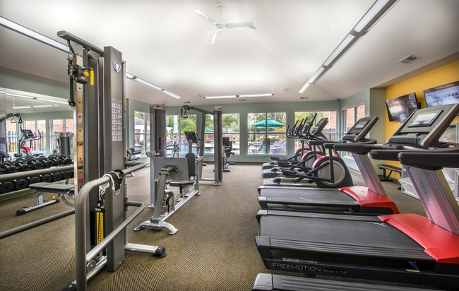 Cardio & Weight Training Equipment