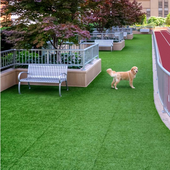 Photo - 601 N State St Unit 004005