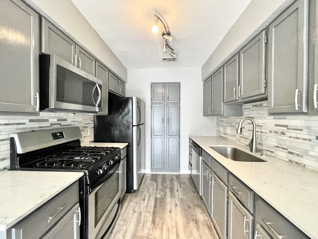 Photo - Tramor At The Quest