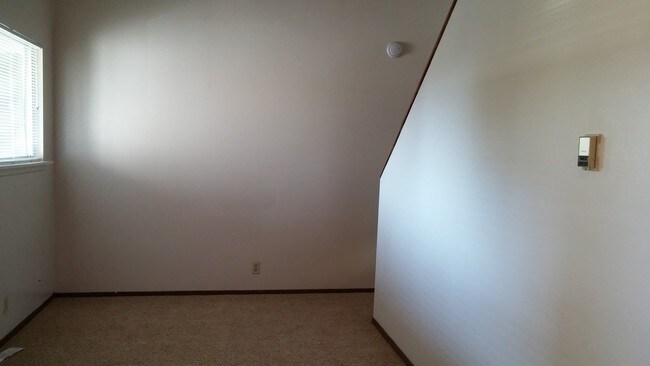 Photo - Coldwater Flats