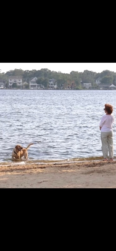 Photo - 17 4th St Unit 1