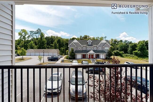 49 Clayton Blvd Unit SI FL2-ID2194A