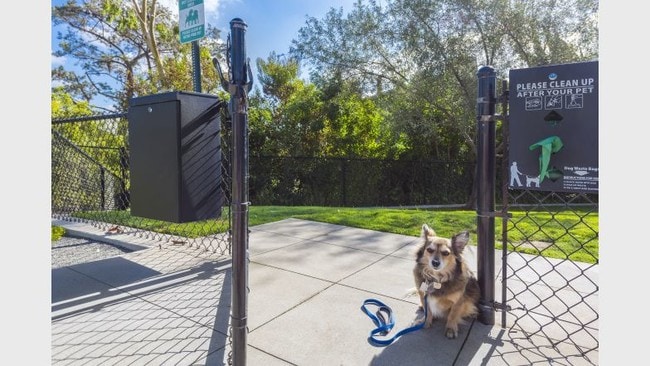 Pet Park