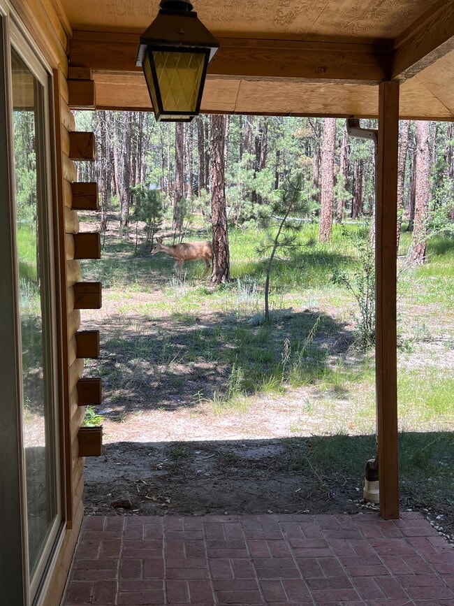 Photo - 615 Congressional Dr