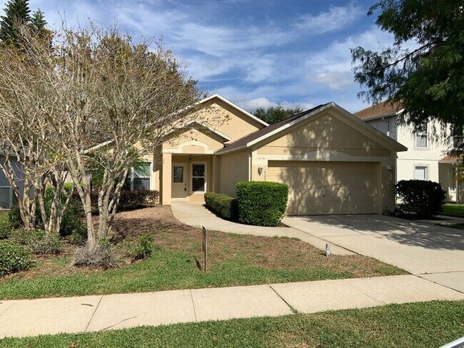 Ashington Park Gem! - Ashington Park Gem! House
