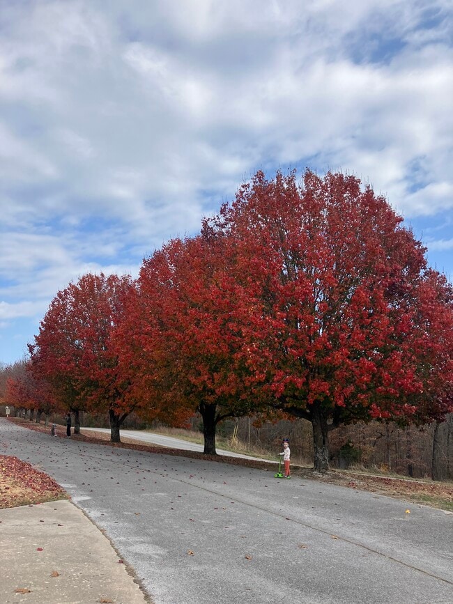 Photo - 8675 Golf Creek Dr