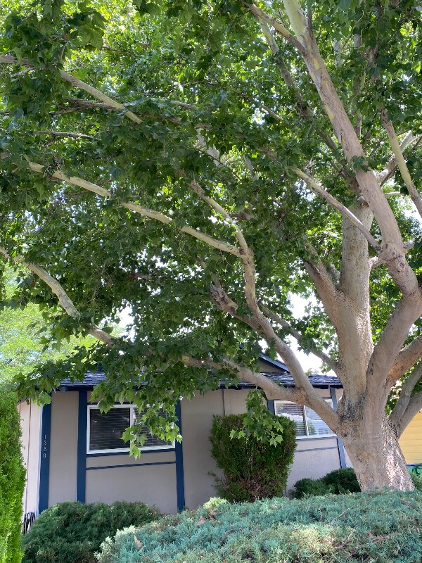 Photo - 1380 Surf Way