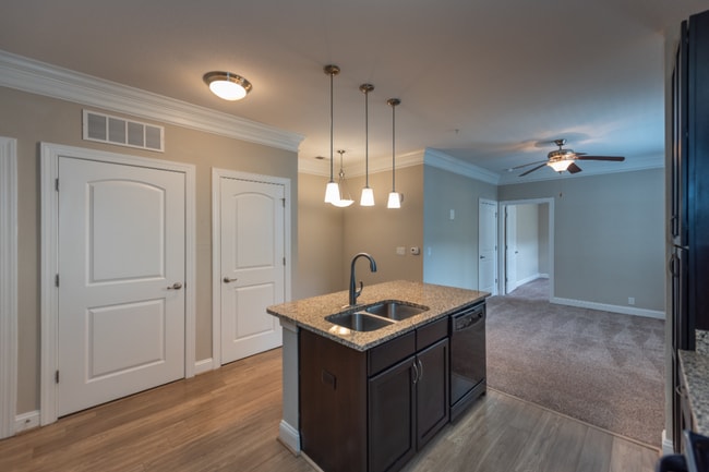 Photo - Red Knot at Edinburgh