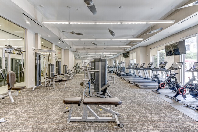 Fitness Center - Domain on the Parkway Apartments