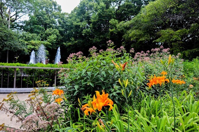 Arrigo Park - 1/2 block walking distance - Harris Point Chicago