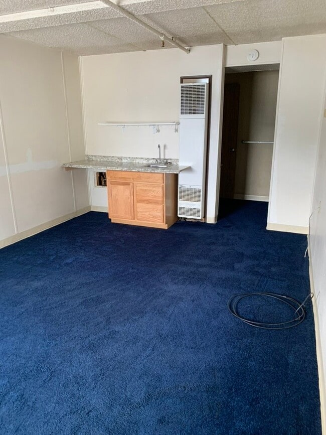 Photo - 2223 S Cushman St Unit Apt 221