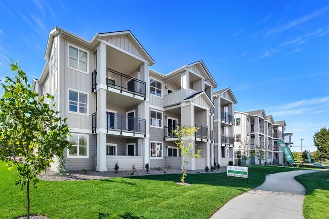 Springtree Apartments - Springtree Apartments