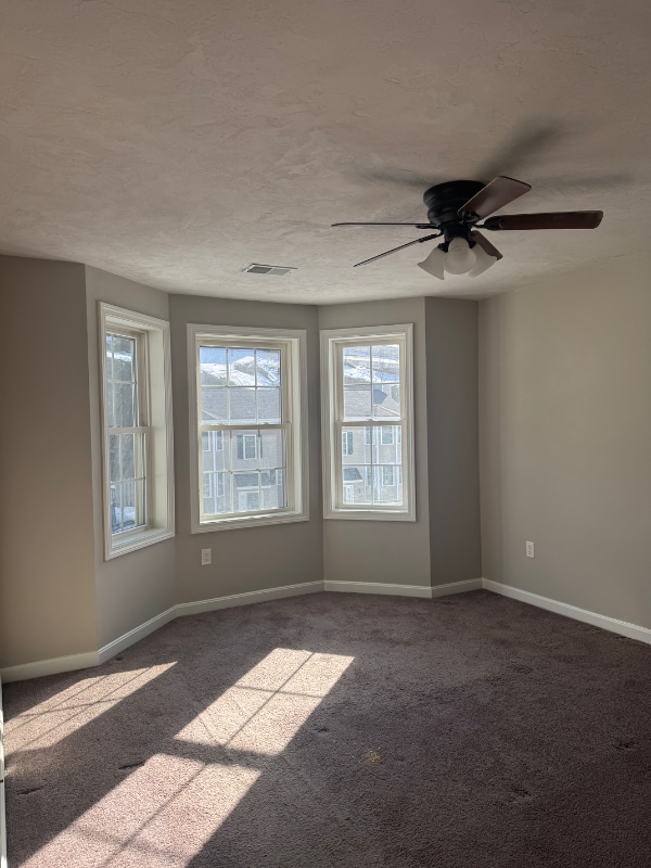 Photo - 15 Honeysuckle Rd