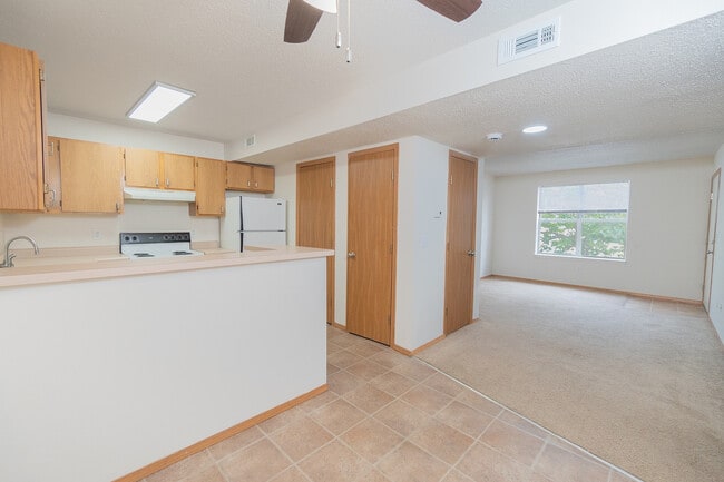 Kitchen and Living Area