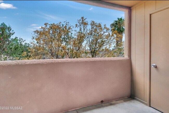 Patio private view - 1810 E Blacklidge Dr Unit 1023