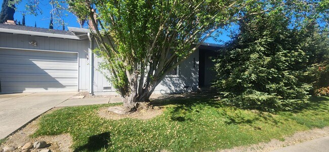 Photo - 8132001/37 Unit 8132001001