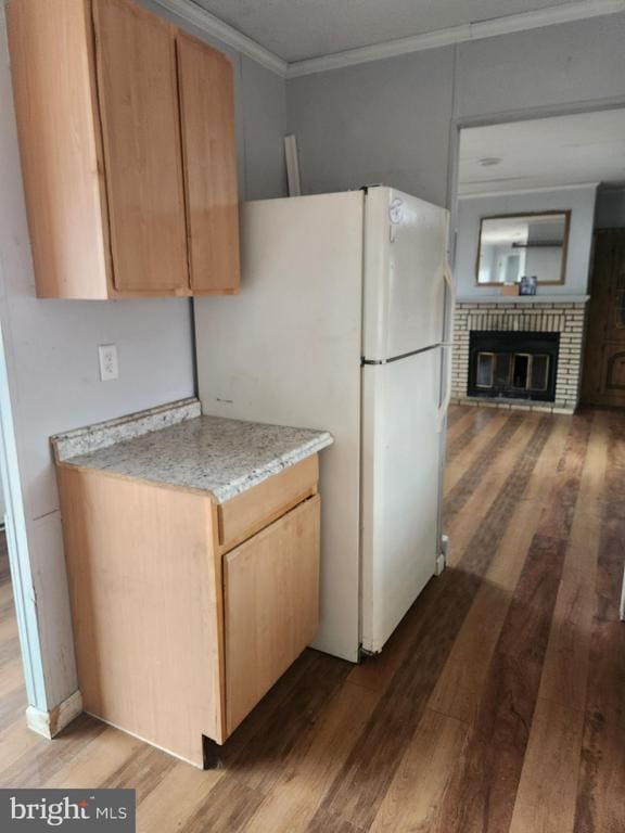 Building Photo - 173 Rudolph Ct