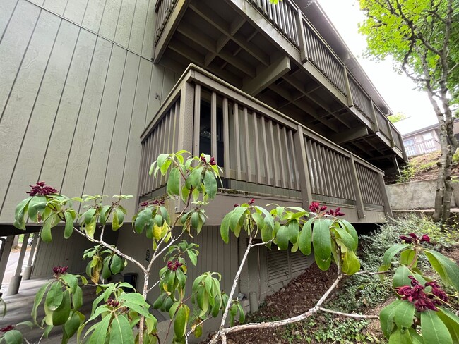 Charming 1Bd + 1Ba Condo in West Haven-Syl... - Charming 1Bd + 1Ba Condo in West Haven-Syl...