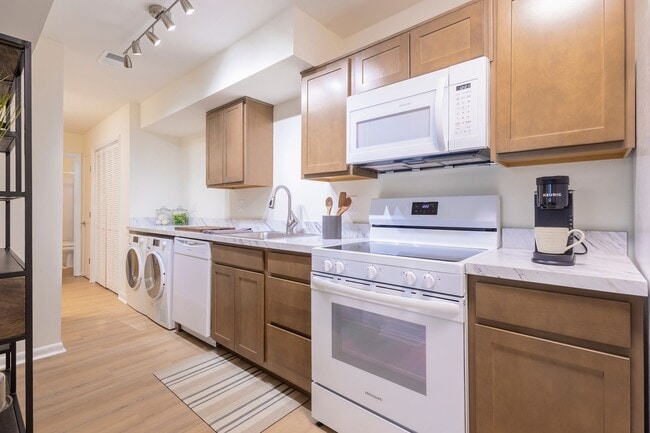 Kitchen - Trifecta on Red Mile - Newly Renovated!