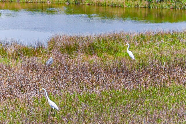 Photo - 3919 San Jacinto Dr