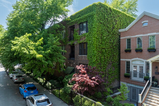 Primary - Wrightwood Burling