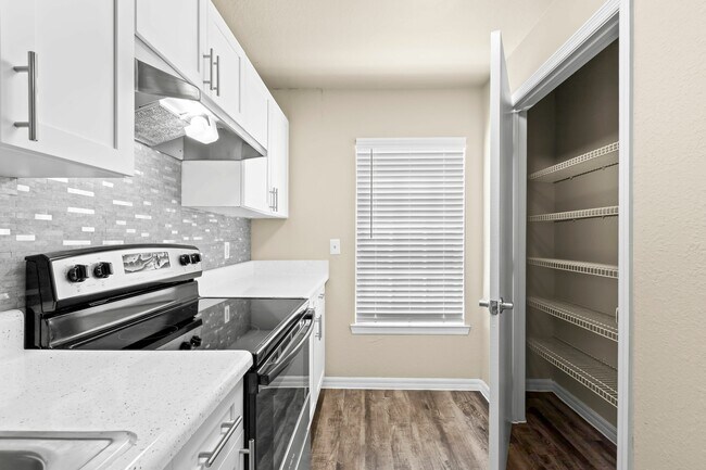 Large Pantry in Kitchen