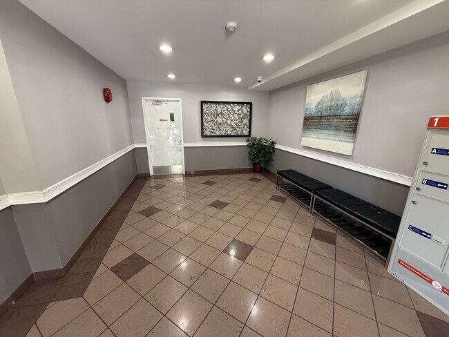 50 Cavan St