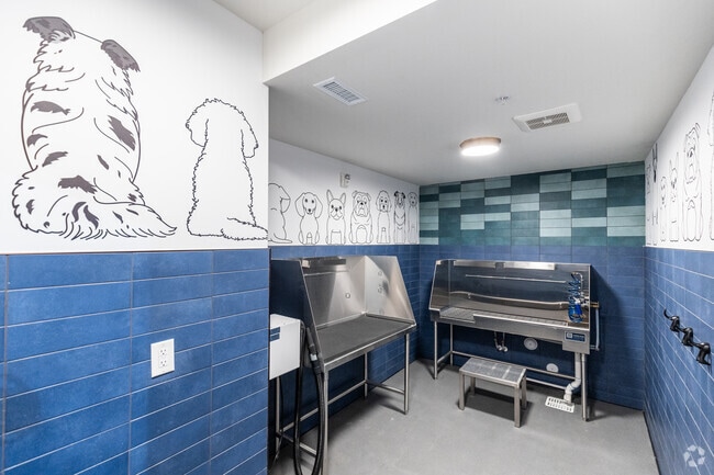 Pet Wash