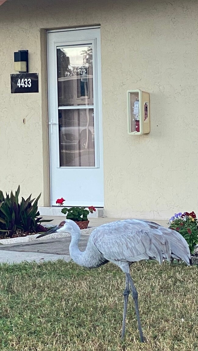 Photo - 4433 Narraganset Trail