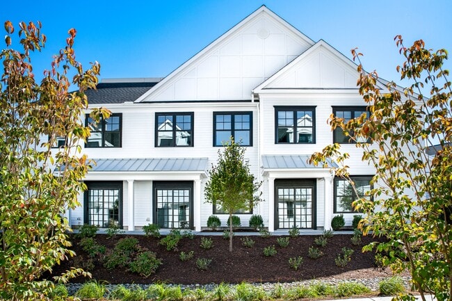 Star Deluxe Branford