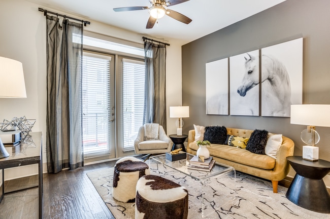 Photo - Ash at the Branch