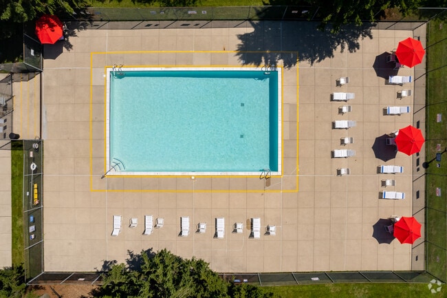 Piscina y solárium - Meadowfield Townhomes