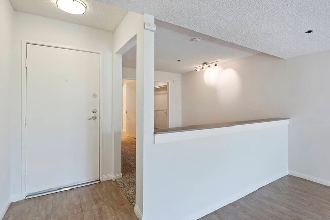 Photo - The Ruby Hollywood