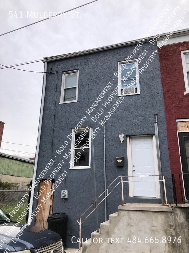 Photo - 541 Mulberry St