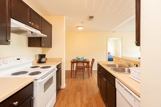 Shared Kitchen and Dining Area