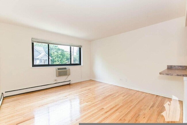 540 W Roscoe St Unit 372