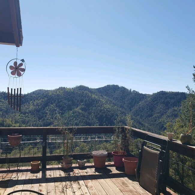 Cottage Style Home Nestled in the Trees!!!... Rental House Rental in