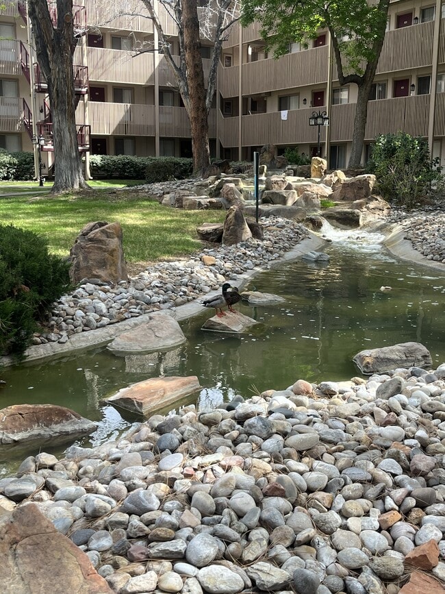 Water Feature