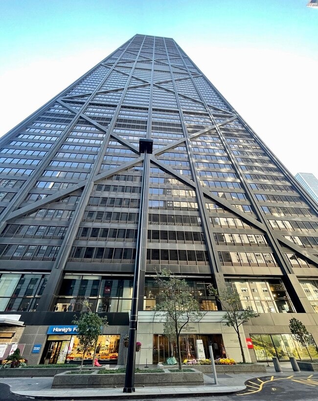 Building Photo - 175 E Delaware Pl Unit 5108