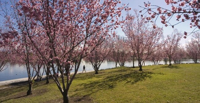 Photo - 3 Bedroom 2 Bath Apartment Unit D