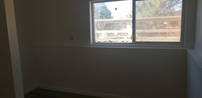 Photo - Charming Downstairs apartment