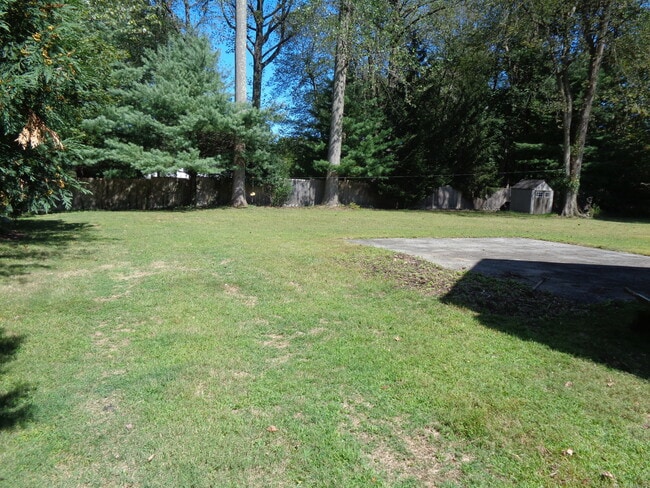 Photo - 531 Hollow Tree Ridge Rd