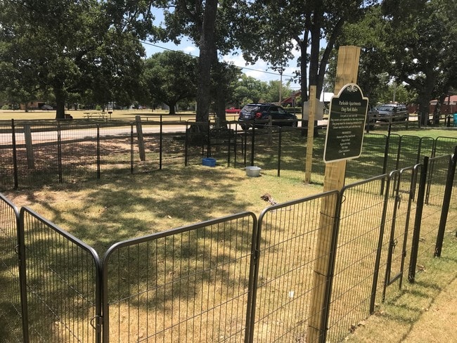 Dog Run