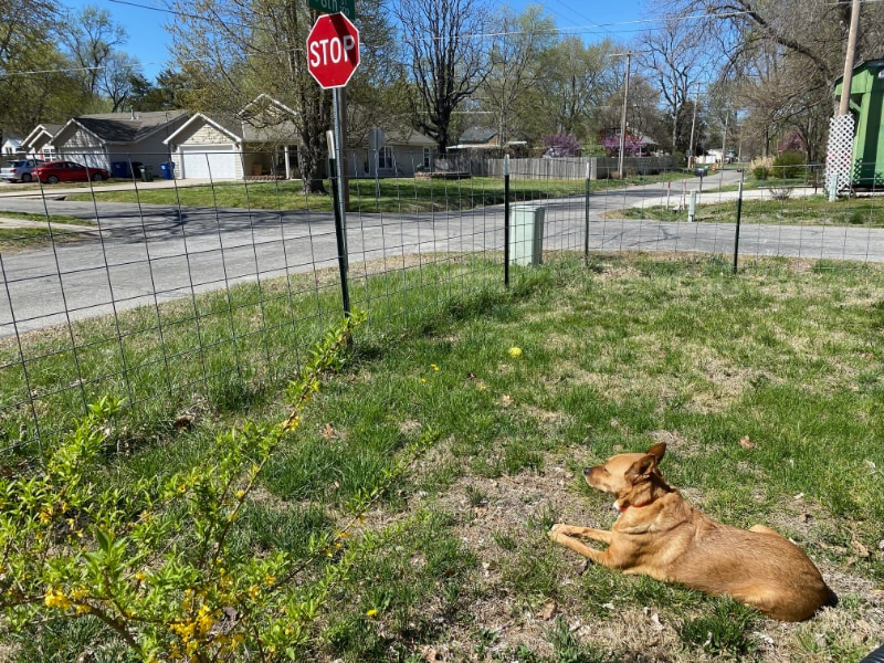 Photo - 246 N 8th St