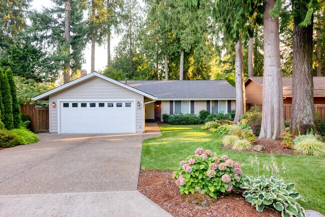 Front Yard - 4230 Collins Way House
