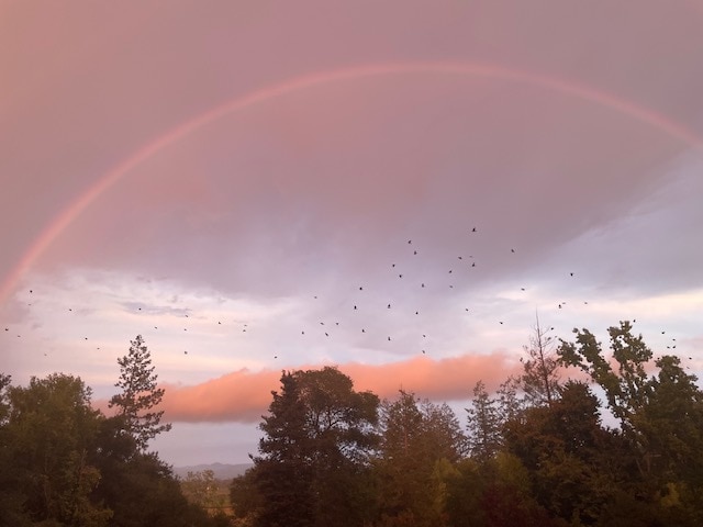 Lucky Sunset