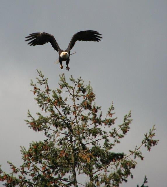 Photo - 11198 N 1st St