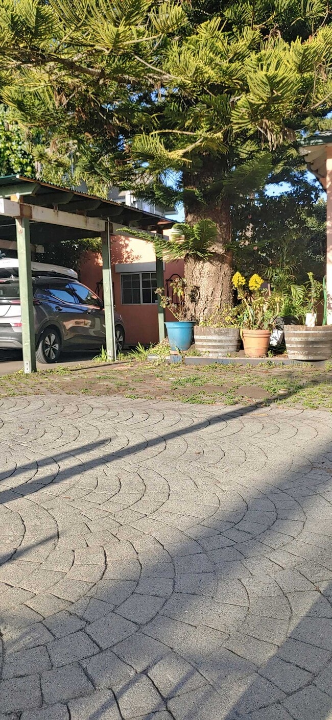 On site parking - 504 Cliff St