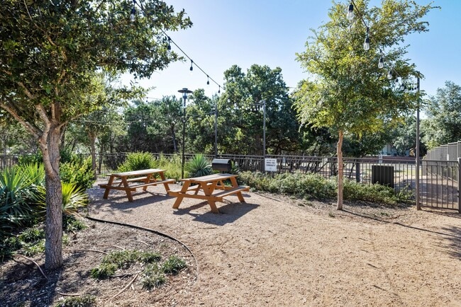 Picnic Tables and BBQ Grill